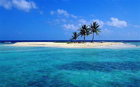 Azul océano playa árboles mar animales ventanas xp skyscapes 1920x1200 ...