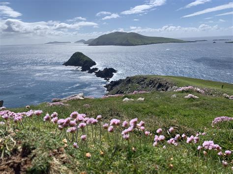 Dingle Peninsula, Ireland. [4032x3024] [OC] : EarthPorn