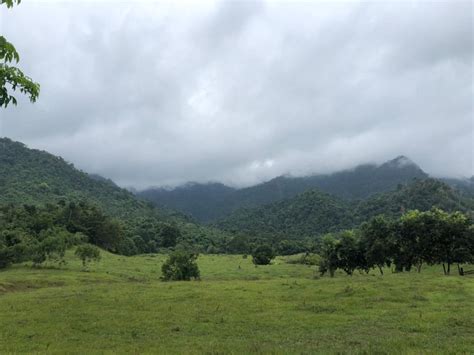 After years of conflict could this Colombian forest be hiding a lost ...