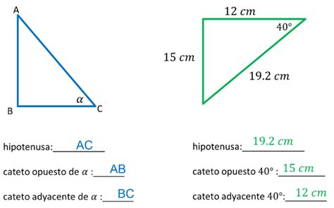 Razones trigonométricas I - Nueva Escuela Mexicana