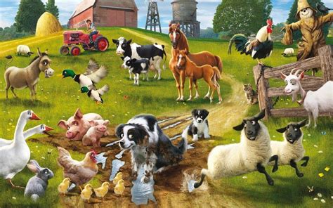 Farm Animals Wallpapers - Top Free Farm Animals Backgrounds ...