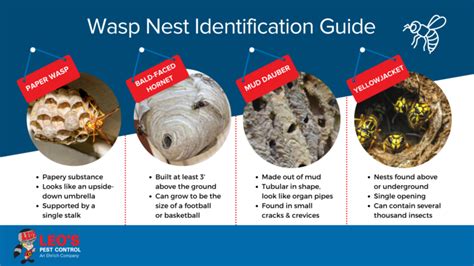 Bee, Wasp & Hornet Nest Removal | Safe Wasp Nest Removal Services