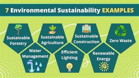 7 Environmental Sustainability Examples