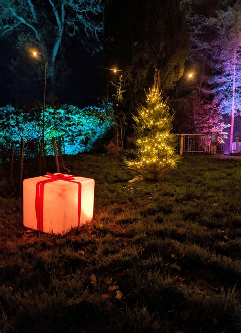 Westonbirt Enchanted Christmas Review | Magical Christmas Light Trail