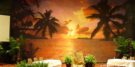 Tropical Beach Sunset Backdrops | Tropical Beach Party Themes