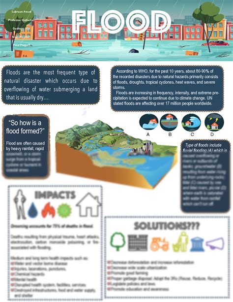 SOLUTION: Flood Infographic - Studypool