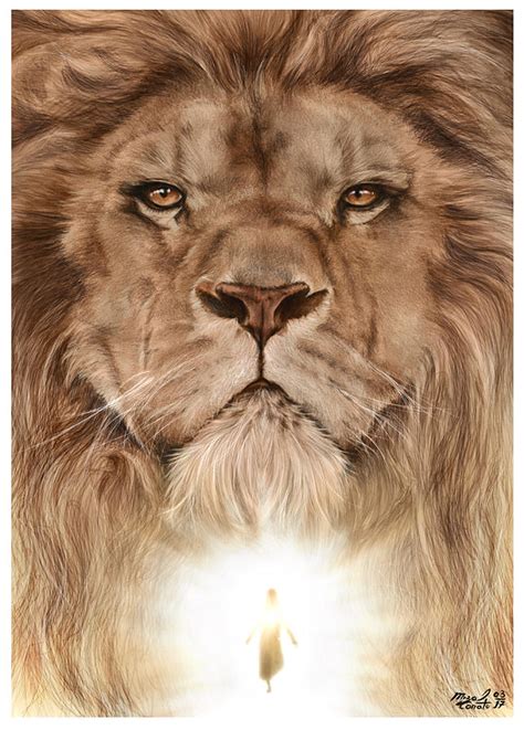 Aslan Drawing by Mizael Canato - Fine Art America