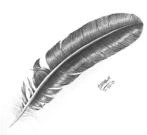 Realistic Feather Drawing at PaintingValley.com | Explore collection of Realistic Feather Drawing