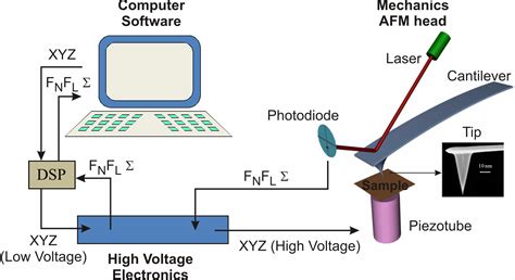 Atomic Force Microscopy | Fernando Moreno Herrero Lab