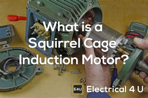 Squirrel Cage Induction Motor: Working Principle & Applications