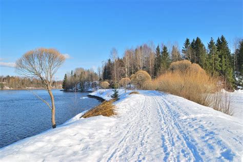 Nature of Finland in Spring Stock Image - Image of footpath, bright: 24157659