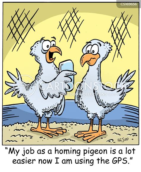 Homing Pigeon Cartoons and Comics - funny pictures from CartoonStock