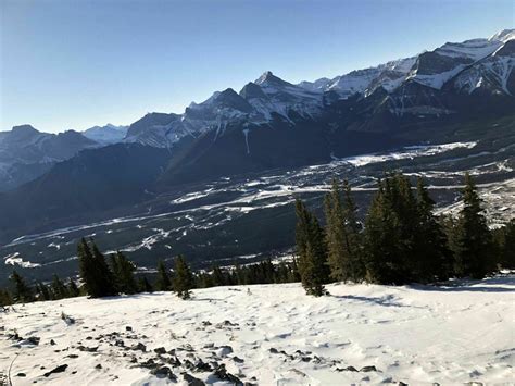 Grotto Mountain Trail - Alberta, Canada | AllTrails