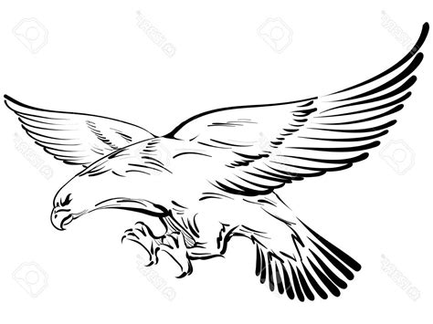 Hawk Wings Drawing at GetDrawings | Free download