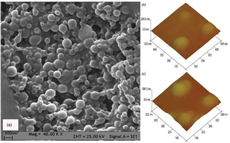 PLGA nanoparticles (a) SEM image of blank nanoparticles, (b) 3D AFM ...