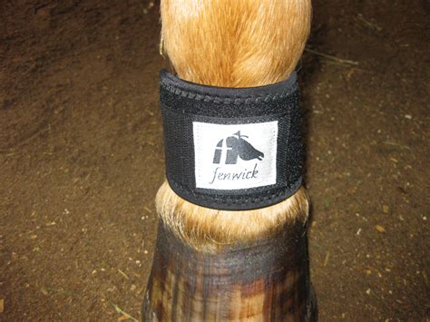 Fenwick Liquid Titanium therapeutic pastern wraps (pair) – Shadow Horse