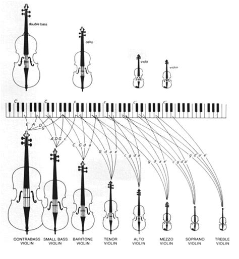 The New Violin family (Hutchin's Violin) - Extended Range Violin ...