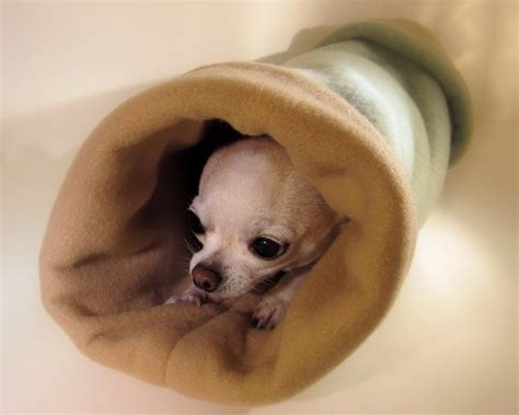 Custom Pet Fleece Tunnel Bed Dog Cat Ferret by napetdepartment