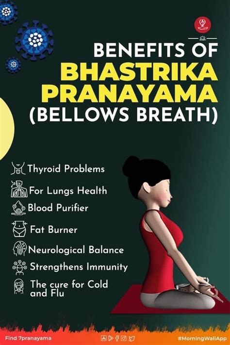 the benefits of bhastrika pranayama below's breath info