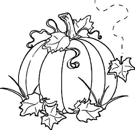 awesome Free Autumn Pumpkin Coloring Page | Pumpkin coloring pages, Fall coloring pages ...