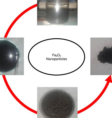 The process of synthesis of Fe3O4 samples. | Download Scientific Diagram