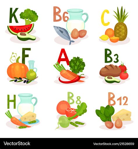 Food sources different vitamins healthy Royalty Free Vector