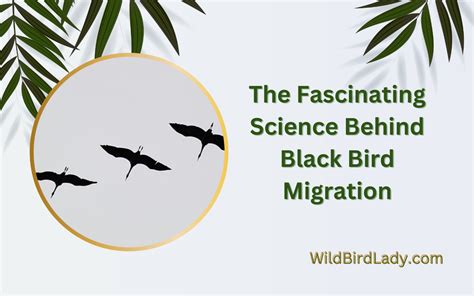 The Fascinating Science Behind Black Bird Migration