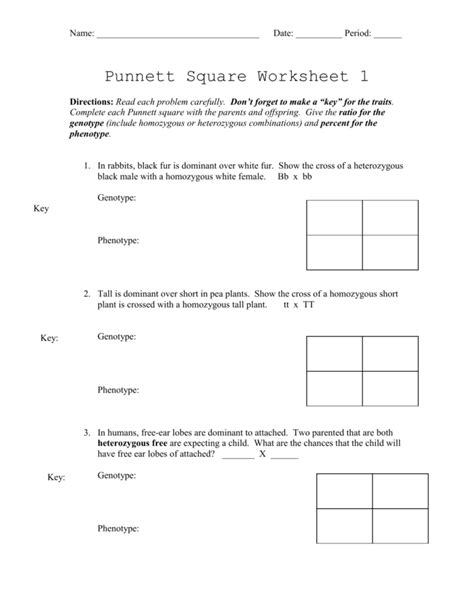 Punnett Squares Practice Worksheets