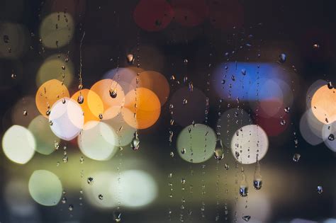 Through The Drops: 30 Magnificent Rain & Monsoon Photos For Your ...