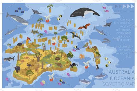 Australasia isometry flora&fauna map | Animal Illustrations ~ Creative ...