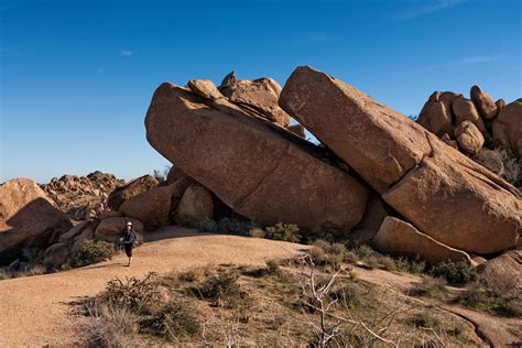 Drought in the Sonoran Desert - McDowell Sonoran Conservancy