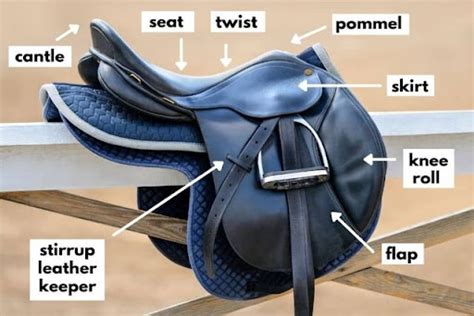 Parts of a Saddle: Western and English Saddles