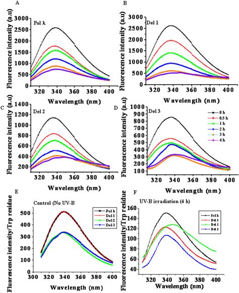 Tryptophan fluorescence spectra of UV-B irradiated purified recombinant ...