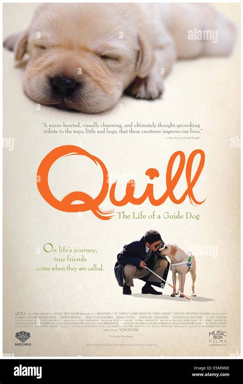 QUILL, US poster art, 2004. ©Music Box Films/courtesy Everett Collection Stock Photo - Alamy