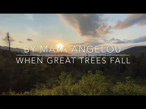 when great trees fall poem - shapovmusic.com