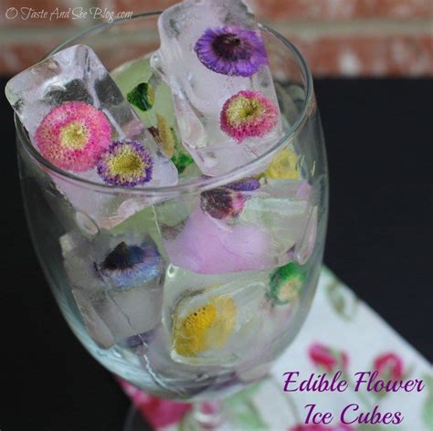 Edible Flower Ice Cubes - O Taste and See | Flower ice cubes, Flower ...