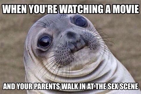 Awkward Moment Seal meme shares your embarrassment | WIRED UK