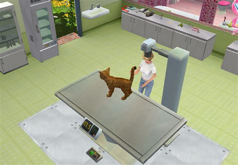 Animal Hospital: Pet Vet 3D PC Gallery | GameWatcher