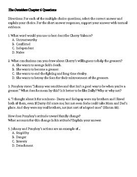 The Outsiders Chapter 6 Questions by STEPHANIE SORENSON | TPT