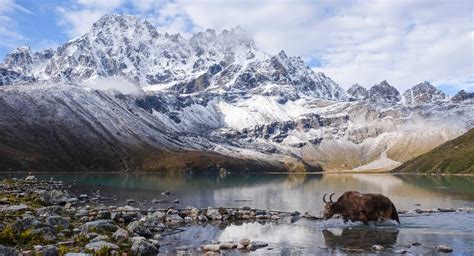 The Gokyo Lakes Trek | Kandoo Adventures