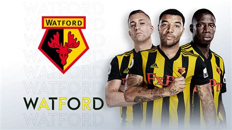 Watford fixtures: Premier League 2019/20 | Football News | Sky Sports