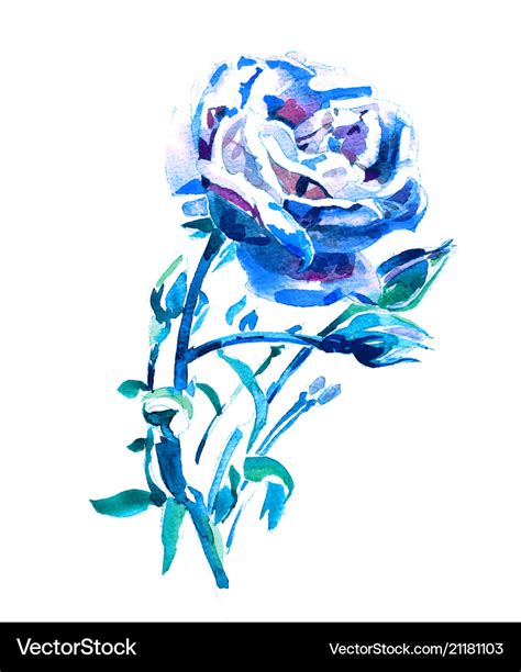 Blue rose - watercolor hand painting artwork Vector Image