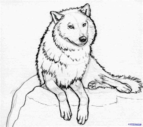 Simple Wolf Drawing at PaintingValley.com | Explore collection of ...