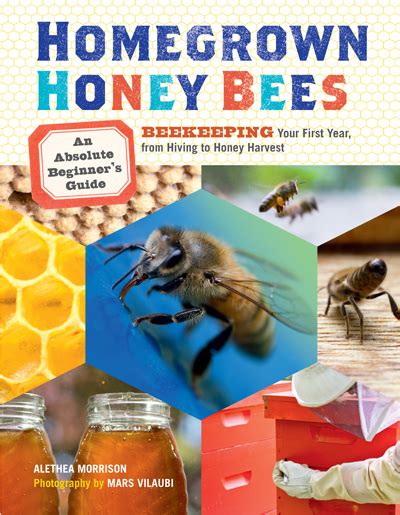 An Absolute Beginner's Guide to Beekeeping Your First Year, from Hiving ...