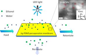 Improving the performance of pervaporation membranes via localized heating through incorporation ...