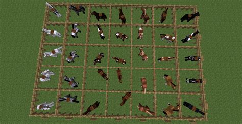 Horse Breeding Minecraft Chart