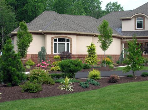 Landscaping - almost PERFECT Landscaping