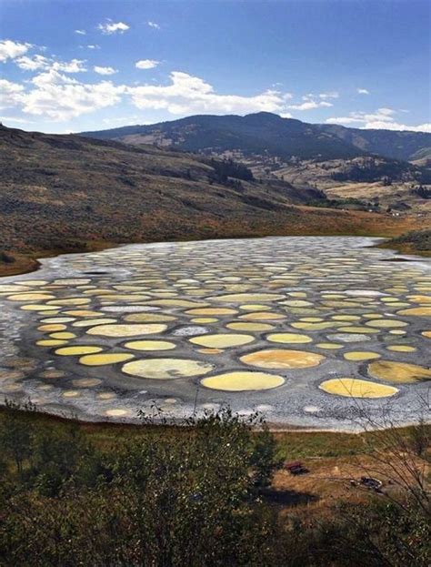 Spotted Lake is a saline endorheic alkali lake located northwest of Osoyoos in British Columbia ...