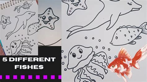 How to draw different types of Fish / 5 Different Fishes #Drawing - YouTube