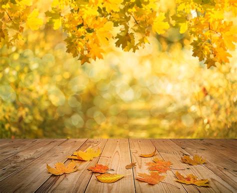 Matte Autumn Background Harvest Season Backdrops IBD-19366 – iBACKDROP